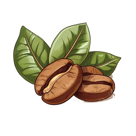 coffee bean clipart|coffee bean clip art transparent background.